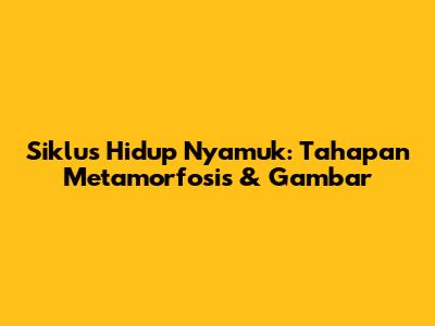 Siklus Hidup Nyamuk: Tahapan Metamorfosis & Gambar
