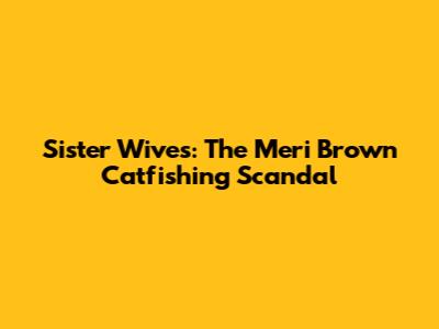 Sister Wives: The Meri Brown Catfishing Scandal