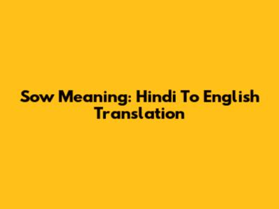 Sow Meaning: Hindi To English Translation