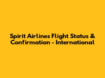 Spirit Airlines Flight Status & Confirmation - International