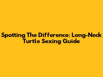 Spotting The Difference: Long-Neck Turtle Sexing Guide