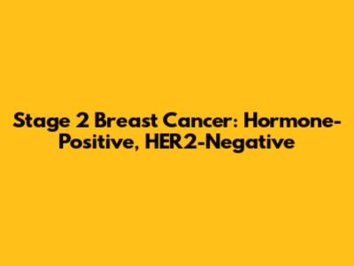 Stage 2 Breast Cancer: Hormone-Positive, HER2-Negative