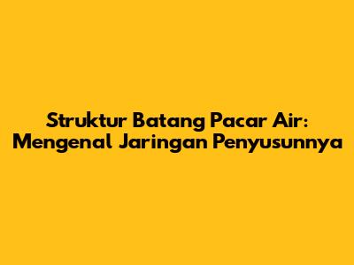 Struktur Batang Pacar Air: Mengenal Jaringan Penyusunnya