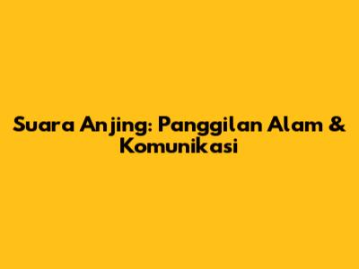 Suara Anjing: Panggilan Alam & Komunikasi