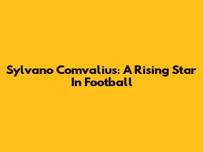 Sylvano Comvalius: A Rising Star In Football