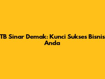TB Sinar Demak: Kunci Sukses Bisnis Anda