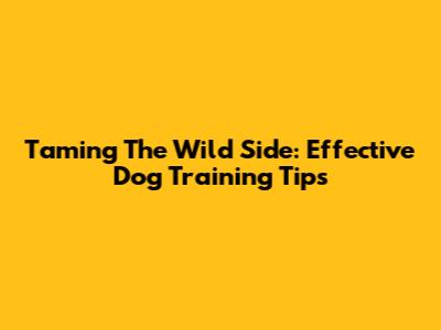 Taming The Wild Side: Effective Dog Training Tips