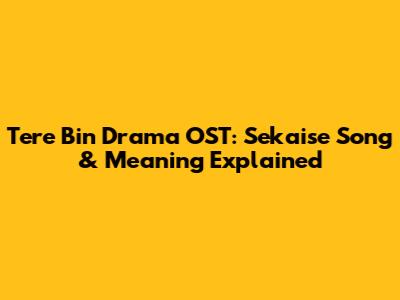 Tere Bin Drama OST: Sekaise Song & Meaning Explained