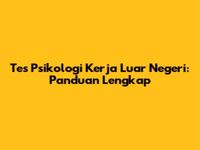 Tes Psikologi Kerja Luar Negeri: Panduan Lengkap