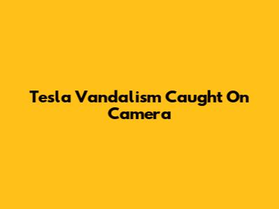 Tesla Vandalism Caught On Camera