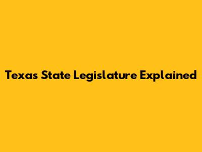 Texas State Legislature Explained