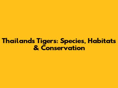 Thailand's Tigers: Species, Habitats & Conservation