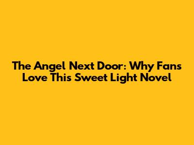 The Angel Next Door: Why Fans Love This Sweet Light Novel