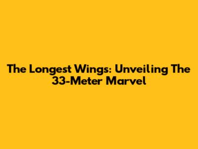 The Longest Wings: Unveiling The 33-Meter Marvel