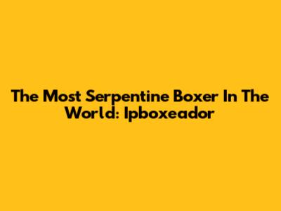 The Most Serpentine Boxer In The World: Ipboxeador