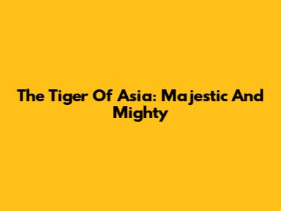 The Tiger Of Asia: Majestic And Mighty
