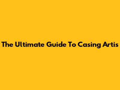 The Ultimate Guide To Casing Artis