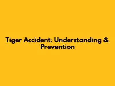 Tiger Accident: Understanding & Prevention