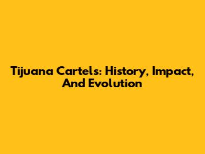 Tijuana Cartels: History, Impact, And Evolution