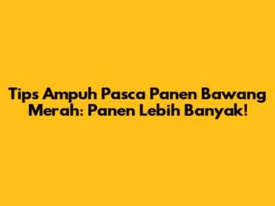 Tips Ampuh Pasca Panen Bawang Merah: Panen Lebih Banyak!