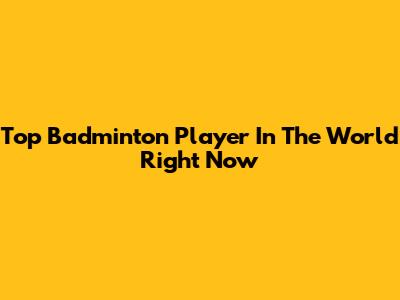 Top Badminton Player In The World Right Now