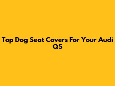 Top Dog Seat Covers For Your Audi Q5