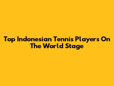 Top Indonesian Tennis Players On The World Stage
