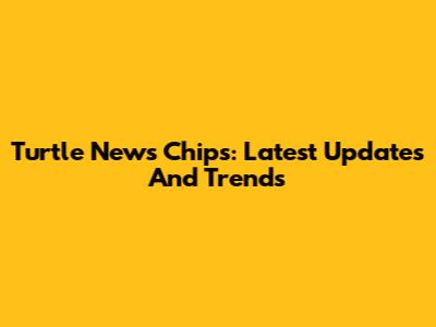 Turtle News Chips: Latest Updates And Trends