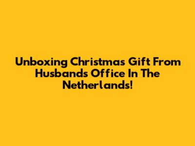 Unboxing Christmas Gift From Husband's Office In The Netherlands!