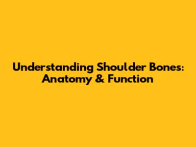 Understanding Shoulder Bones: Anatomy & Function