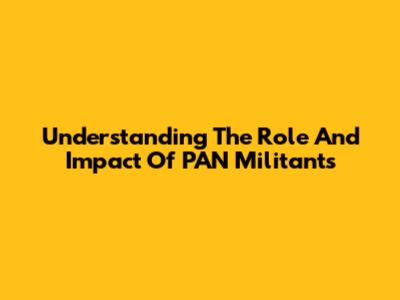 Understanding The Role And Impact Of PAN Militants