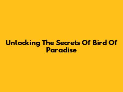 Unlocking The Secrets Of Bird Of Paradise