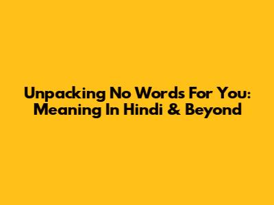 Unpacking 'No Words For You': Meaning In Hindi & Beyond