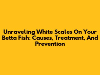 Unraveling White Scales On Your Betta Fish: Causes, Treatment, And Prevention