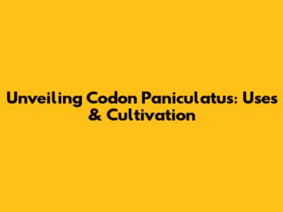 Unveiling Codon Paniculatus: Uses & Cultivation