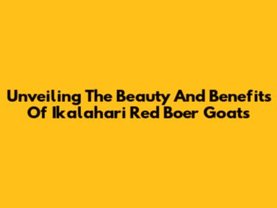 Unveiling The Beauty And Benefits Of Ikalahari Red Boer Goats
