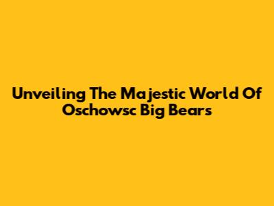 Unveiling The Majestic World Of Oschowsc Big Bears