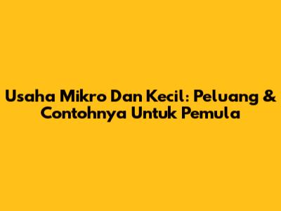 Usaha Mikro Dan Kecil: Peluang & Contohnya Untuk Pemula