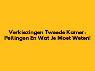 Verkiezingen Tweede Kamer: Peilingen En Wat Je Moet Weten!