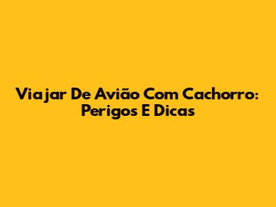 Viajar De Avião Com Cachorro: Perigos E Dicas