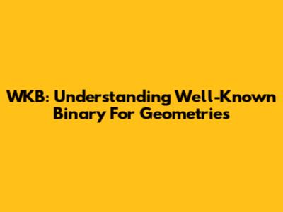WKB: Understanding Well-Known Binary For Geometries