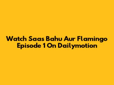Watch Saas Bahu Aur Flamingo Episode 1 On Dailymotion
