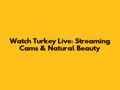 Watch Turkey Live: Streaming Cams & Natural Beauty