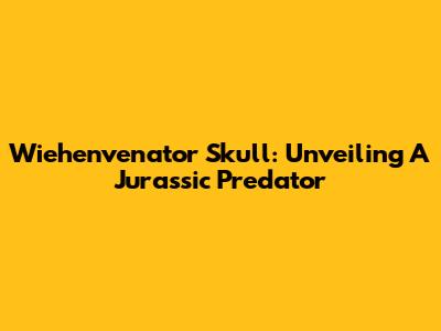 Wiehenvenator Skull: Unveiling A Jurassic Predator