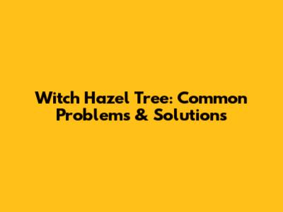 Witch Hazel Tree: Common Problems & Solutions