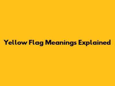 Yellow Flag Meanings Explained