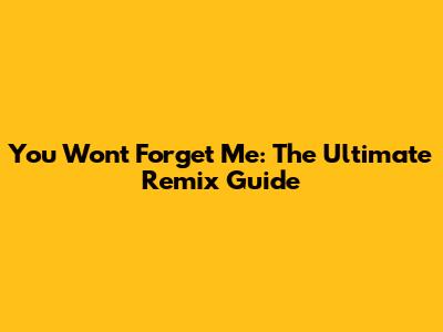You Won't Forget Me: The Ultimate Remix Guide