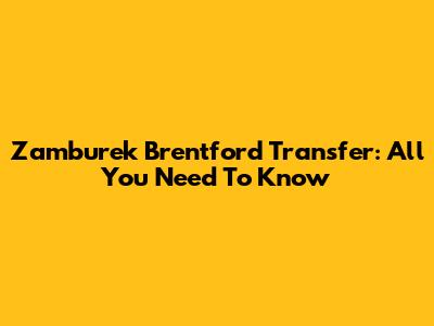 Zamburek Brentford Transfer: All You Need To Know