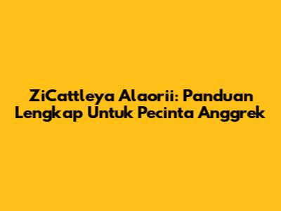 ZiCattleya Alaorii: Panduan Lengkap Untuk Pecinta Anggrek